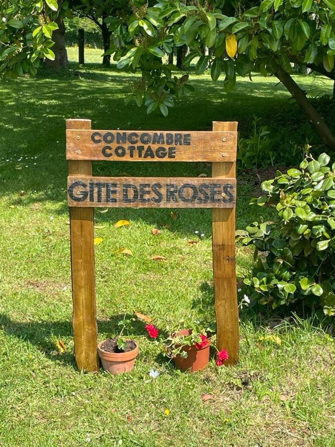 Gite Des Roses Le Grais Exteriér fotografie